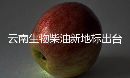 云南生物柴油新地標(biāo)出臺(tái) 推廣或可減輕霧霾