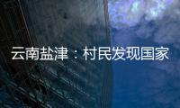 云南鹽津：村民發現國家二級保護野生動物藏酋猴