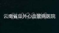 云南省阜外心血管病醫院和云南省滇東北區域中心醫院聯合開展義診活動