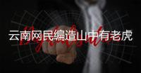 云南網民編造山中有老虎被罰