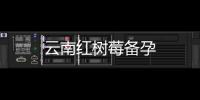 云南紅樹莓備孕
