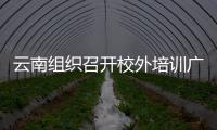 云南組織召開校外培訓廣告管控工作推進會議