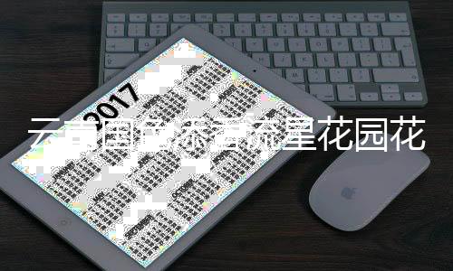 云南國色添香流星花園花店連鎖品牌，親民低價凸顯優勢