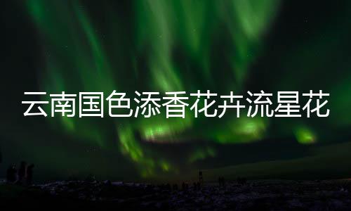 云南國色添香花卉流星花園花藝，消費者信賴和業界公認