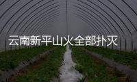云南新平山火全部撲滅 未造成人員傷亡