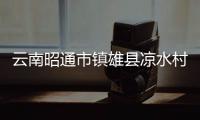 云南昭通市鎮(zhèn)雄縣涼水村發(fā)生滑坡 初步核實18戶44人被埋