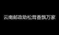 云南郵政助松茸香飄萬家