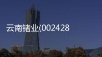 云南鍺業(yè)(002428)