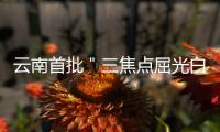 云南首批＂三焦點(diǎn)屈光白內(nèi)障,老視矯正手術(shù)示范基地＂落戶昆明愛爾