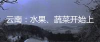 云南：水果、蔬菜開始上市 各地迎來春季豐收