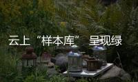云上“樣本庫” 呈現(xiàn)綠色礦山新面貌