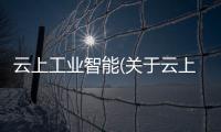 云上工業智能(關于云上工業智能簡述)