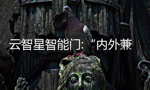 云智星智能門:“內外兼修”,詮釋“智能美學”,為入戶門融入智