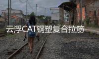 云浮CAT鋼塑復合拉筋帶規格齊全