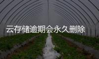 云存儲逾期會永久刪除 中消協提醒：要增強數據安全意識