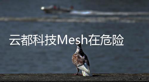 云都科技Mesh在危險(xiǎn)品碼頭的應(yīng)用