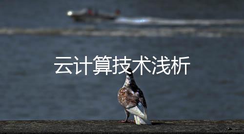 云計算技術(shù)淺析