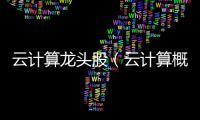 云計(jì)算龍頭股（云計(jì)算概念）