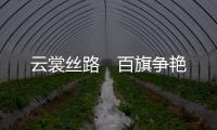 云裳絲路　百旗爭艷