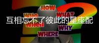 互相忘不了彼此的星座配對