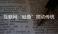 互聯網“鯰魚”攪動傳統家裝