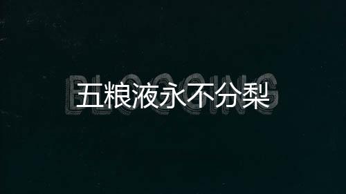 五糧液永不分梨