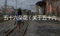 五十六朵花（關于五十六朵花的基本情況說明介紹）