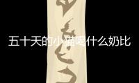 五十天的小貓喝什么奶比較好？50天的小貓喝奶喝多少毫升