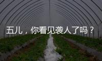 五兒，你看見襲人了嗎？ （打一成語）