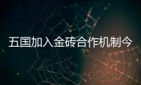 五國加入金磚合作機制今天正式生效 金磚新伙伴期待經濟發展