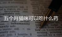 五個月貓咪可以吃什么藥好呢？五個月貓咪能吃什么