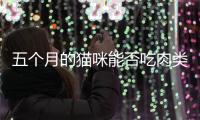 五個月的貓咪能否吃肉類(五個月大的貓可以吃生肉嗎)