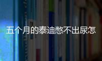 五個月的泰迪憋不出尿怎么辦？五個月泰迪憋尿多久