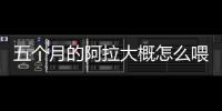 五個(gè)月的阿拉大概怎么喂？五個(gè)月的阿拉身高體重標(biāo)準(zhǔn)