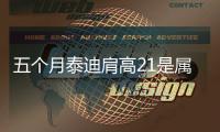 五個(gè)月泰迪肩高21是屬于什么體型(五個(gè)月泰迪肩高20是什么體)