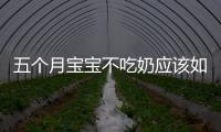 五個月寶寶不吃奶應該如何辦