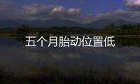 五個月胎動位置低