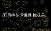 五月桃花運爆棚 桃花朵朵開的幾大星座