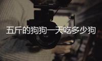五斤的狗狗一天吃多少狗糧合適，5斤的狗狗一天吃多少
