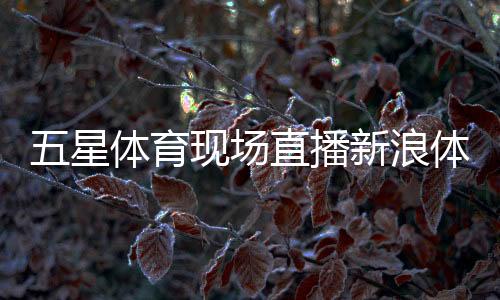 五星體育現場直播新浪體育nba體育世界cctv5