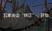 五家央企“轉(zhuǎn)正”，獲批轉(zhuǎn)為國(guó)有資本投資公司