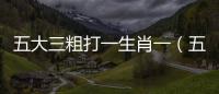 五大三粗打一生肖一（五大三粗打一生肖）