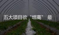 五大項目欲“增高” 最多要求增33米