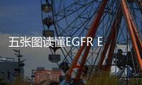 五張圖讀懂EGFR Exon20抑制劑