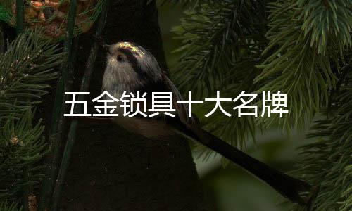 五金鎖具十大名牌