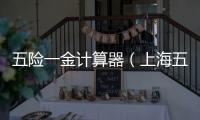 五險一金計算器（上海五險一金計算器）