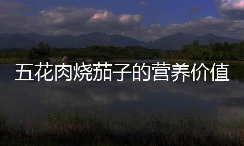 五花肉燒茄子的營養(yǎng)價值百科