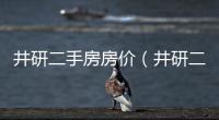 井研二手房房價（井研二手房）