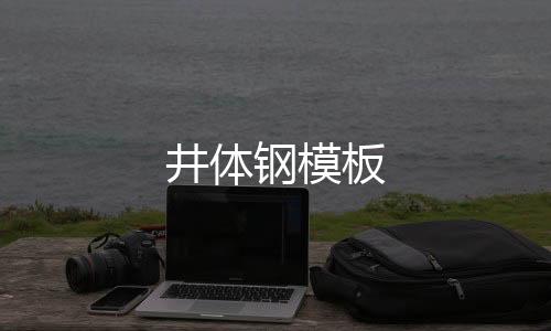 井體鋼模板