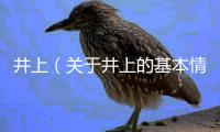 井上（關于井上的基本情況說明介紹）